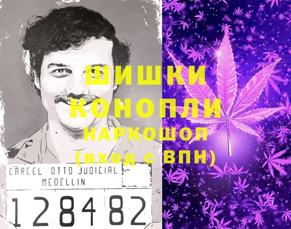 винт Богданович