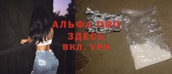 сатива Богородицк