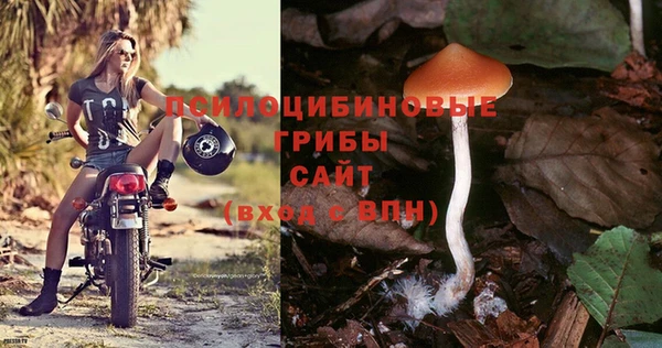 амфетамин Богородск