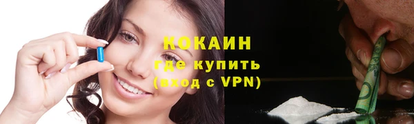 винт Богданович