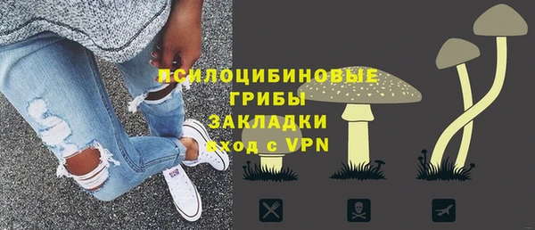 винт Богданович