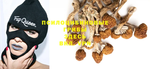сатива Богородицк
