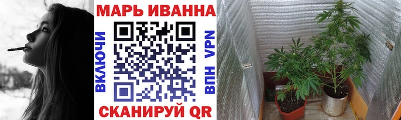 кракен как войти  Котовск  Конопля сатива 